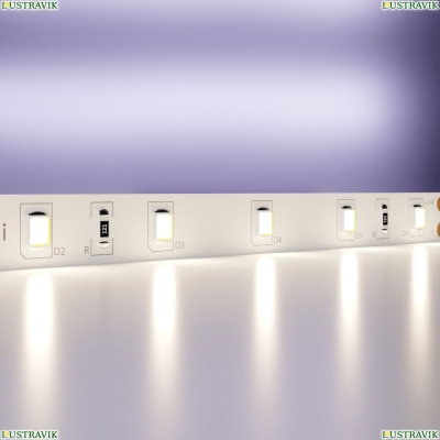 5М. Светодиодная Лента Белого Цвета 4000К, 7,2W, 24V, 60Led, Ip20 20014 ★ Maytoni — купить в интернет магазине ЛЮСТРАВИК☀