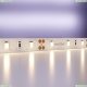 5М. Светодиодная Лента Теплого Цвета 3000К, 7,2W, 12V, 60Led, Ip20 20001 ★ Maytoni — купить в интернет магазине ЛЮСТРАВИК☀