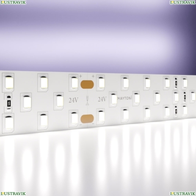 5М. Светодиодная Лента Холодного Цвета 6000К, 27W, 24V, 60Led, Ip20 20033 ★ Maytoni — купить в интернет магазине ЛЮСТРАВИК☀