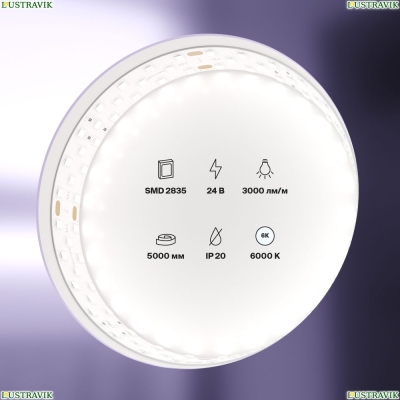 5М. Светодиодная Лента Холодного Цвета 6000К, 27W, 24V, 60Led, Ip20 20033 ★ Maytoni — купить в интернет магазине ЛЮСТРАВИК☀