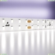 5М. Светодиодная Лента Холодного Цвета, 6000К, 20W, 24V, 60Led, Ip20 20030 ★ Maytoni — купить в интернет магазине ЛЮСТРАВИК☀