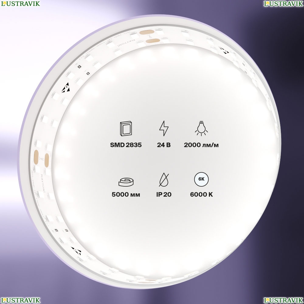 5М. Светодиодная Лента Холодного Цвета, 6000К, 20W, 24V, 60Led, Ip20 20030 ★ Maytoni — купить в интернет магазине ЛЮСТРАВИК☀