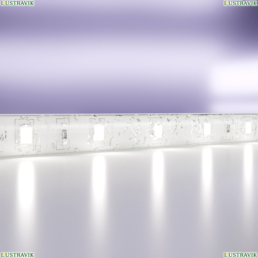 5М. Светодиодная Лента Холодного Цвета, 6000К, 7,2W, 24V, 60Led, Ip20 20018 ★ Maytoni — купить в интернет магазине ЛЮСТРАВИК☀