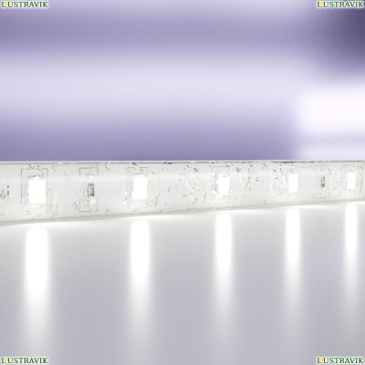 5М. Светодиодная Лента Холодного Цвета, 6000К, 7,2W, 24V, 60Led, Ip20 20018 ★ Maytoni — купить в интернет магазине ЛЮСТРАВИК☀