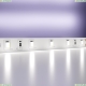 5М. Светодиодная Лента Холодного Цвета, 6000К, 27W, 24V, 60Led, Ip20 20015 ★ Maytoni — купить в интернет магазине ЛЮСТРАВИК☀