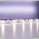 5М. Светодиодная Лента Белого Цвета, 4000К, 12W, 24V, 60Led, Ip20 20045 ★ Maytoni — купить в интернет магазине ЛЮСТРАВИК☀