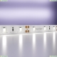 5М. Светодиодная Лента Холодного Цвета 6000К, 7.2W, 12V, 60Led, Ip20 20003 ★ Maytoni — купить в интернет магазине ЛЮСТРАВИК☀