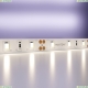 5М. Светодиодная Лента Белого Цвета 4000К, 7,2W, 12V, 60Led, Ip20 20002 ★ Maytoni — купить в интернет магазине ЛЮСТРАВИК☀