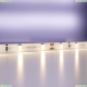 5М. Светодиодная Лента Теплого Цвета 3000К, 4,8W, 12V, 60Led, Ip20 20007 ★ Maytoni — купить в интернет магазине ЛЮСТРАВИК☀