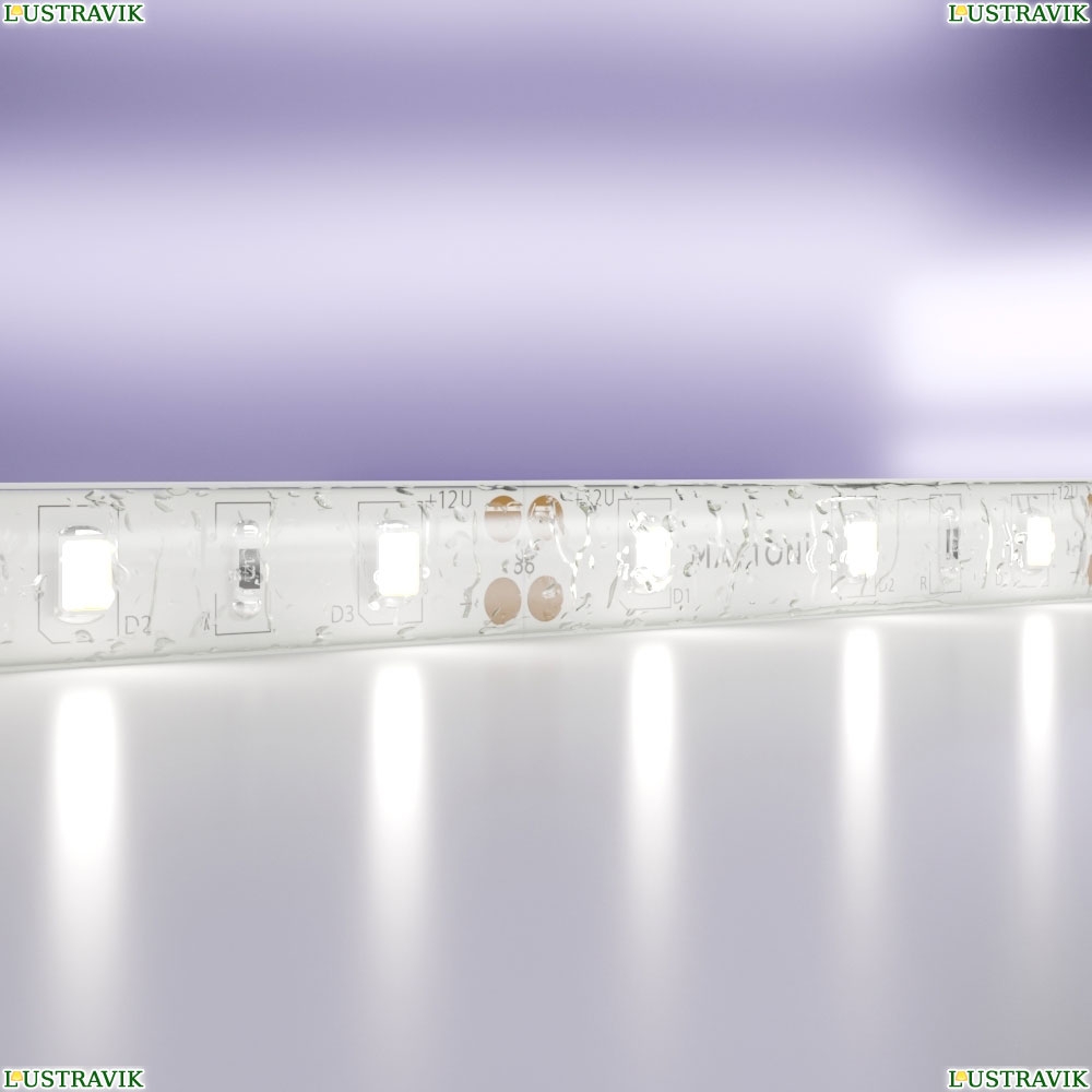 5М. Светодиодная Лента Холодного Цвета 6000К, 7,2W, 12V, 60Led, Ip65 20006 ★ Maytoni — купить в интернет магазине ЛЮСТРАВИК☀