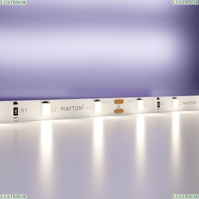 5М. Светодиодная Лента Белого Цвета 4000К, 4,8W, 12V, 60Led, Ip20 20008 ★ Maytoni — купить в интернет магазине ЛЮСТРАВИК☀