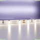 5М. Светодиодная Лента Белого Цвета 4000К, 4,8W, 12V, 60Led, Ip20 20008 ★ Maytoni — купить в интернет магазине ЛЮСТРАВИК☀