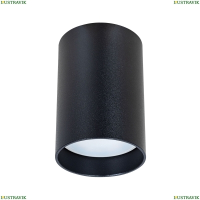 Светильник A1517PL-1BK ★ Arte Lamp — купить в интернет магазине ЛЮСТРАВИК☀