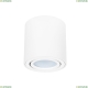 Светильник A1513PL-1WH ★ Arte Lamp — купить в интернет магазине ЛЮСТРАВИК☀