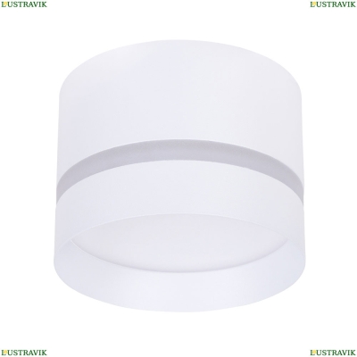 Светильник A2265PL-1WH ★ Arte Lamp — купить в интернет магазине ЛЮСТРАВИК☀