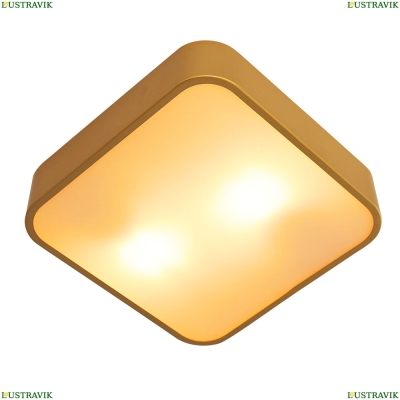 Светильник A7210PL-2GO ★ Arte Lamp — купить в интернет магазине ЛЮСТРАВИК☀
