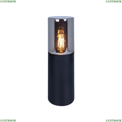 Светильник A6218FN-1BK ★ Arte Lamp — купить в интернет магазине ЛЮСТРАВИК☀