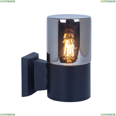 Светильник A6218AL-1BK ★ Arte Lamp — купить в интернет магазине ЛЮСТРАВИК☀