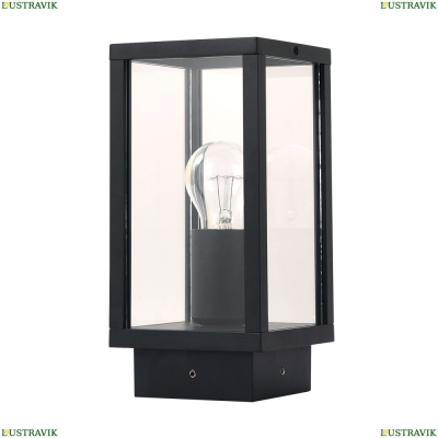 Светильник A1631FN-1BK ★ Arte Lamp — купить в интернет магазине ЛЮСТРАВИК☀