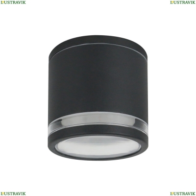 Светильник A1910PF-1BK ★ Arte Lamp — купить в интернет магазине ЛЮСТРАВИК☀
