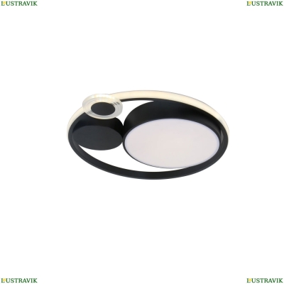 Светильник A2690PL-1BK ★ Arte Lamp — купить в интернет магазине ЛЮСТРАВИК☀