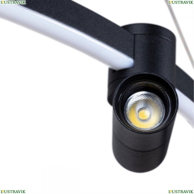 Люстру A2186SP-1BK ★ Arte Lamp — купить в интернет магазине ЛЮСТРАВИК☀