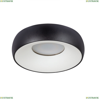 Светильник A6665PL-1BK ★ Arte Lamp — купить в интернет магазине ЛЮСТРАВИК☀