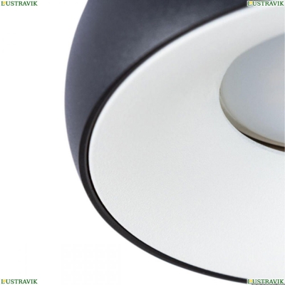 Светильник A6665PL-1BK ★ Arte Lamp — купить в интернет магазине ЛЮСТРАВИК☀