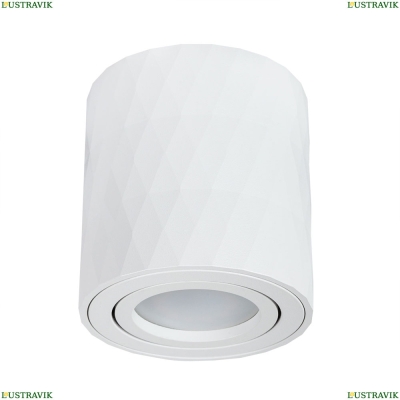 Светильник A5559PL-1WH ★ Arte Lamp — купить в интернет магазине ЛЮСТРАВИК☀