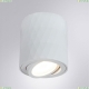 Светильник A5559PL-1WH ★ Arte Lamp — купить в интернет магазине ЛЮСТРАВИК☀