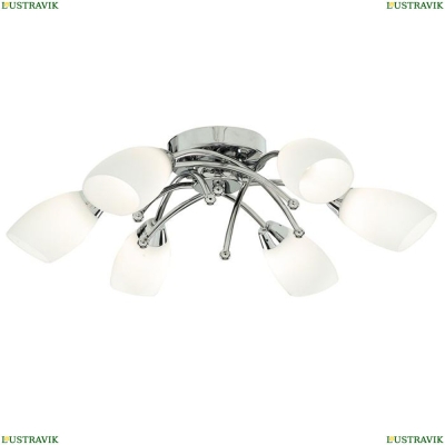 Люстру A8186PL-6CC ★ Arte Lamp — купить в интернет магазине ЛЮСТРАВИК☀
