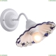 Бра A6473AP-1WH ★ Arte Lamp — купить в интернет магазине ЛЮСТРАВИК☀