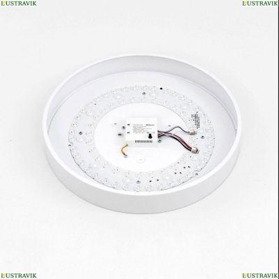 Светильник CL72470G0 ★ Citilux — купить в интернет магазине ЛЮСТРАВИК☀