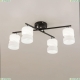 Светильник CL132145 ★ Citilux — купить в интернет магазине ЛЮСТРАВИК☀