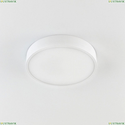 Светильник CL72424V0 ★ Citilux — купить в интернет магазине ЛЮСТРАВИК☀
