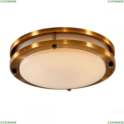 Светильник CL709203N ★ Citilux — купить в интернет магазине ЛЮСТРАВИК☀