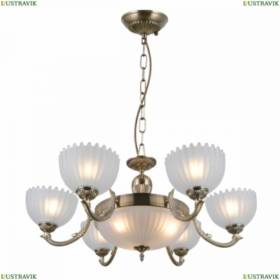 Люстру CL414193 ★ Citilux — купить в интернет магазине ЛЮСТРАВИК☀