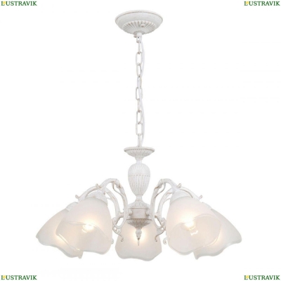 Люстру CL413250 ★ Citilux — купить в интернет магазине ЛЮСТРАВИК☀