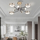 Люстру 273210/8 BK/GD ★ Arte Milano — купить в интернет магазине ЛЮСТРАВИК☀