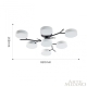 Cветильник 256606/6+1 Bk/Wh ★ Arte Milano — купить в интернет магазине ЛЮСТРАВИК☀