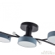 Светильник 256606/5 Bk/Gr ★ Arte Milano — купить в интернет магазине ЛЮСТРАВИК☀