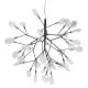 Люстра EVITA SP36 BLACK/TRANSPARENT ★Crystal Lux, Черный► — Купить▼