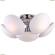 Люстра A2550PL-6CC ★Arte Lamp, Хром► — Купить▼