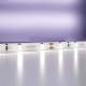 5М. Светодиодная Лента Холодного Цвета 6000К, 4,8W, 12V, 60Led, Ip20 20009 ★ Maytoni — купить в интернет магазине ЛЮСТРАВИК☀