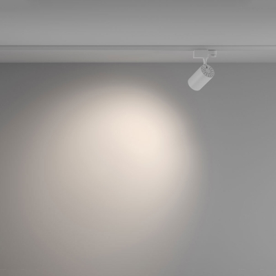 Светильник TR029-3-10W4K-W-W ★ Technical — купить в интернет магазине ЛЮСТРАВИК☀
