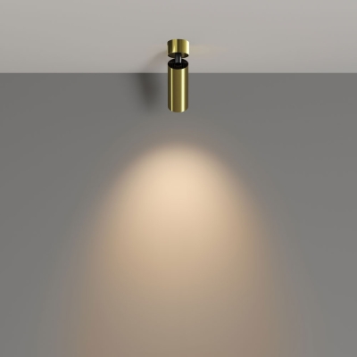 Светильник C055CL-L12W3K-W-BS ★ Maytoni Technical — купить в интернет магазине ЛЮСТРАВИК☀