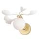 Бра COLIBRI AP1 GOLD ★ Crystal Lux — купить в интернет магазине ЛЮСТРАВИК☀ Бра COLIBRI AP1 GOLD ★ Crystal Lux — купить в интернет магазине ЛЮСТРАВИК☀