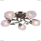 Люстра A6157PL-5AB ★Arte Lamp, Бронза► — Купить▼