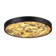 Светильник 5064/40L ★ Odeon Light — купить в интернет магазине ЛЮСТРАВИК☀