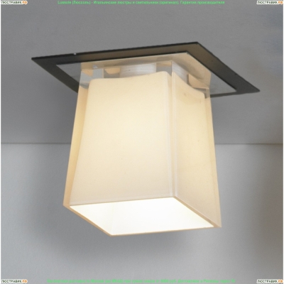 LSC-2500-01 Светильник точечный Lente 1 плафон